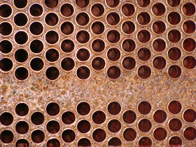 ������{��������ϴǰ